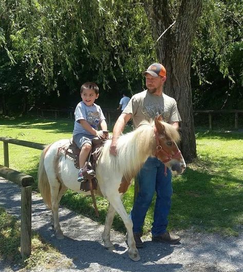 Mountain Deer, Deer Farm, Tennessee State Parks, Sevierville Tennessee, Pony Rides, Pumpkin Farm, Petting Zoo, In The Zoo, Mini Farm