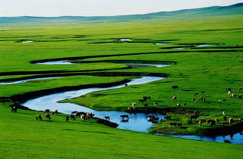 Beautiful grassland in Xilin gol, Inner Mongolia. Shadow Of The Gods, Sun Kingdom, China Scenery, Genghis Khan, Our Planet Earth, Painting Competition, Red Wolf, Inner Mongolia, Lake Landscape