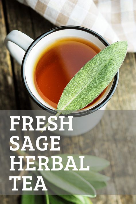 Herbal Tea Photography, Sage Recipes, Herbal Tea Garden, Herbal Tea Benefits, Dried Sage, Sage Tea, Tea Burn, Fresh Sage, Sage Leaf