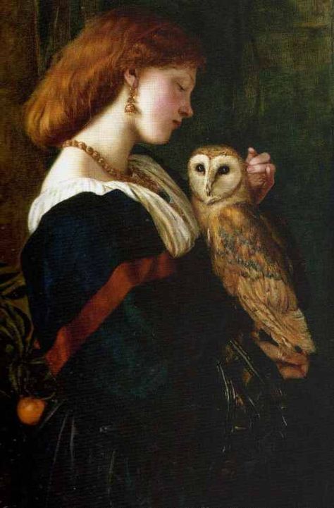 The Owl by Valentine Cameron Prinsep, 1863 Pre Raphaelite Paintings, Pre Raphaelite Art, Istoria Artei, Art Ancien, Pre Raphaelite, Tableau Art, Victorian Art, Old Paintings, Classical Art