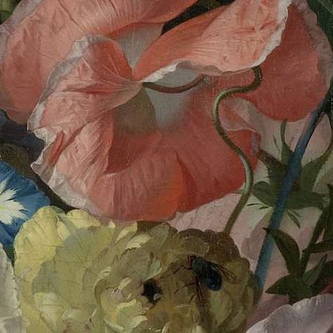 Flowers-Collected Works of Anna - All Rijksstudio's - Rijksstudio - Rijksmuseum Rachel Ruysch, Still Life Artists, Collage Drawing, Floral Artwork, Still Life Art, Still Life Painting, Botanical Art, Beautiful Paintings, Floral Painting