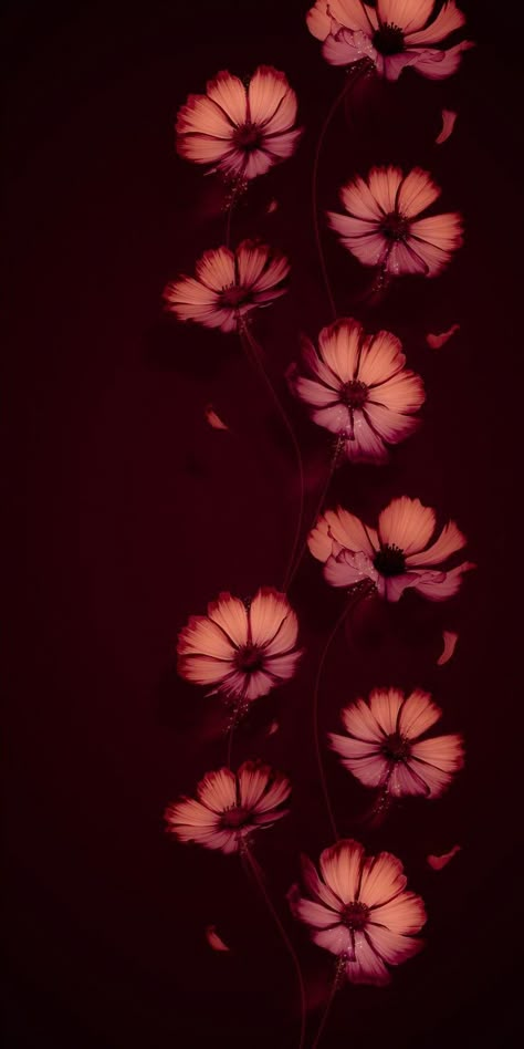 Black With Color Wallpaper, Maroon Flowers Wallpaper, Red Glass Wallpaper, Gothic Spring Wallpaper, Bright Ipad Wallpaper, Laptop Wallpaper Lenovo, Dark Red Flowers Wallpaper, Wet Flowers Wallpaper, Neon Flowers Wallpaper