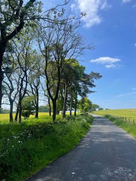 British Summer Aesthetic, Oxford Aesthetic, Walks Aesthetic, Aesthetic Farm, Wildflower Fields, Countryside Life, I Miss Summer, Summer Walks, Waiting For Spring