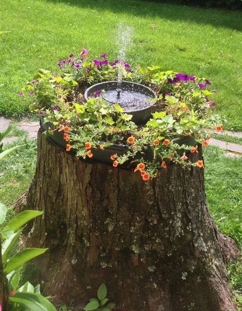 Decorate the garden creatively with these 65 DIY ideas | My desired home Stump Decor, Tree Stump Decor, Stump Planter, Tree Stump Ideas, Tree Stump Planter, Stump Ideas, Patio Pond, Tree Stumps, Solar Fountain