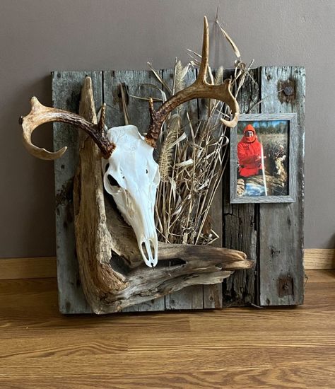 Gallery Wall With Deer Head, Rustic Deer Mounts, Squirrel Pelt Ideas, First Buck Mount Ideas, European Wall Mount Deer Skulls, European Mount Ideas Rustic, European Mount Plaque Ideas, Antler Mounts Ideas, Hog Skull Mount