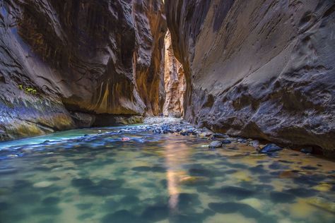 Hiking the Zion Narrows: A Complete Guide – Bearfoot Theory Arcadia National Park, Zion Utah, Maine Road Trip, Hiking The Narrows, Acadia National Park Maine, The Narrows, New England Road Trip, East Coast Travel, East Coast Road Trip