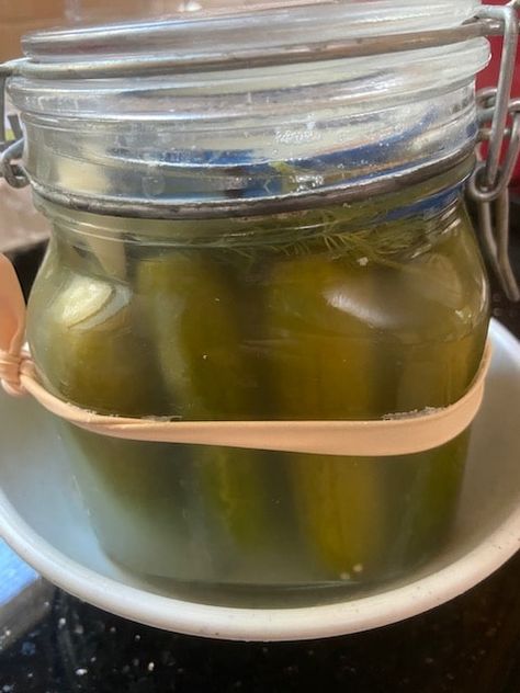 Homemade Pickles, Full or Half Sour – Kosher From Jerusalem Homemade Sour Pickles, Sour Pickles Homemade Easy, Jewish Pickle Recipe, Full Sour Pickle Recipe, Sour Pickles Homemade, Sour Dill Pickle Recipe, Half Sour Pickle Recipe, Sour Pickle Recipe, Pickles Homemade Easy