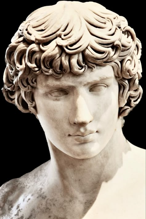 Roman Nose Front View, Greek Face Sculpture, Ancient Rome Drawing, Ancient Rome Statues, Ancient Greece Statues, Ancient Rome Sculpture, Hadrian And Antinous, Rome Statues, Ancient Roman Statues