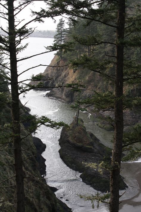 Cape Disappointment Washington, Washington Aesthetic, Pnw Summer, Wrong Place Wrong Time, Hiking Views, Cape Disappointment, Nature Therapy, Dream Future, Forest Scenery