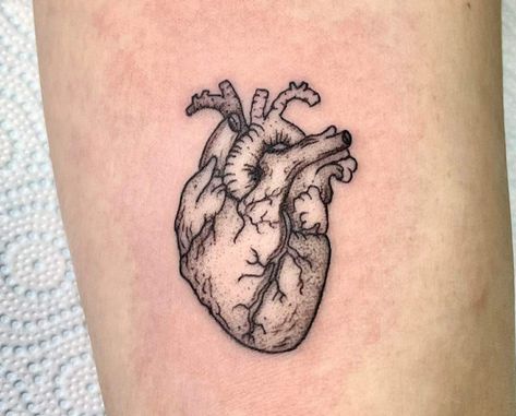 Real Heart Tattoos, Anatomical Heart Drawing, Heart Outline Tattoo, Dr Tattoo, Tattoo Between Breast, Heart Tattoo Ideas, Heart Organ, Red Heart Tattoos, Anatomical Heart Tattoo