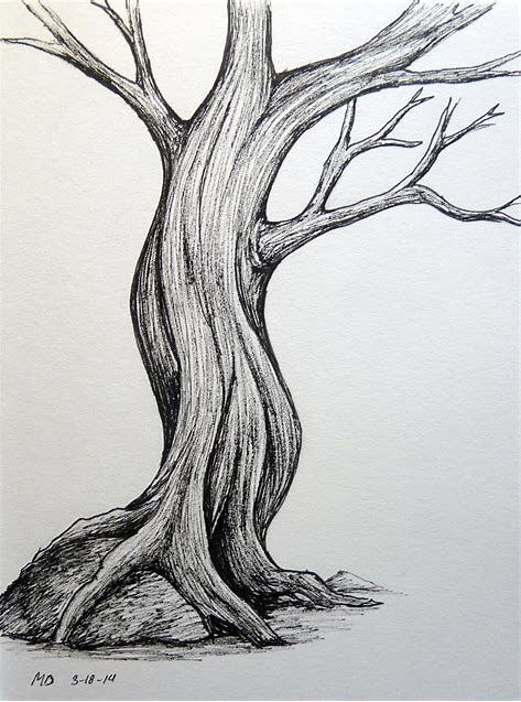 Big Tree Drawing, Tree Drawing Simple, Pencil Trees, Tree Drawings Pencil, Simple Tree, Tree Sketches, Background Drawing, Nature Drawing, Tree Illustration