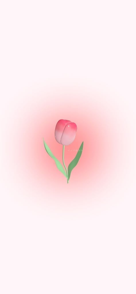 Wallpaper Tulips Iphone, Tulips Pink Drawing, Pink Tulip Background, 3d Wallpaper Iphone Tulips, 3d Tulips Wallpaper, Flower Astethic Wallpaper, Tulips Lockscreen Aesthetic, Tulip Background Wallpapers, Tulips Background Aesthetic