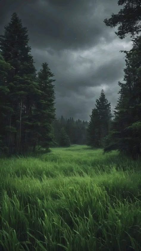 Dark Forest Background, Wald Wallpaper, Creepy Forest, Dark Forest Aesthetic, Dark Landscape, Dark Nature Aesthetic, Pretty Landscapes, Cloudy Sky, No Credit