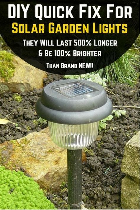 How To Repair Solar Garden Lights, Flower Garden Lights, Cheap Solar Lights, Solar Lights For Garden, Indoor Solar Lights, Solaire Diy, Garden Lighting Diy, Solar Yard Lights, Solar Lights Diy