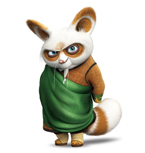 SITE Kung Fu Panda Costume, Kung Fu Panda Party, Panda Costume, Master Shifu, Panda Costumes, Kung Fu Panda 3, Dragon Warrior, Dreamworks Animation, Art Japanese