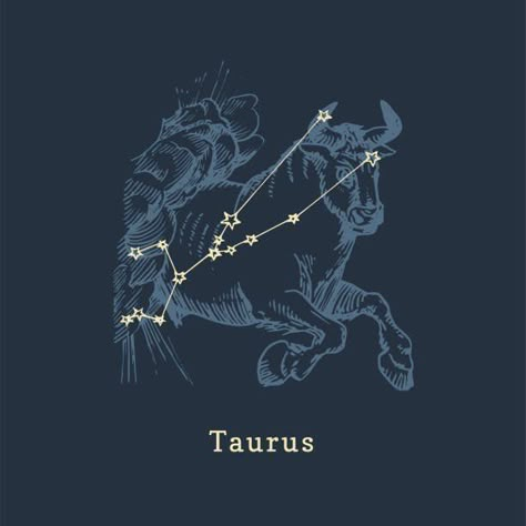 Taurus Symbol Aesthetic, Taurus Constellation Wallpaper, Zodiac Taurus Art, Taurus Zodiac Sign Symbol, Taurus Illustration, Taurus Star Constellation, Taurus Zodiac Constellation, Bull Illustration, Zodiac Sign Illustration