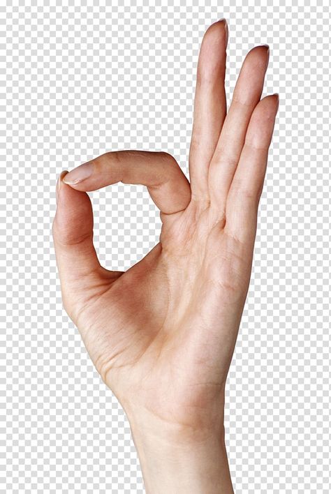 Hand Refs, Ok Hand Sign, Thumbs Up Icon, Object Reference, Face Parts, Photoshop Inspiration, Hand Emoji, Finger Hands, Visual Impairment