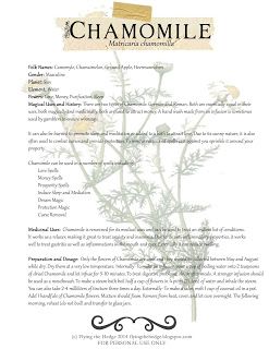 Magical and medicinal uses of Chamomile. Includes FREE BOS page! Magickal Herbs, Witch Herbs, Magia Das Ervas, Witch Garden, Magic Herbs, Magical Herbs, Herbal Apothecary, Herbal Magic, Practical Magic