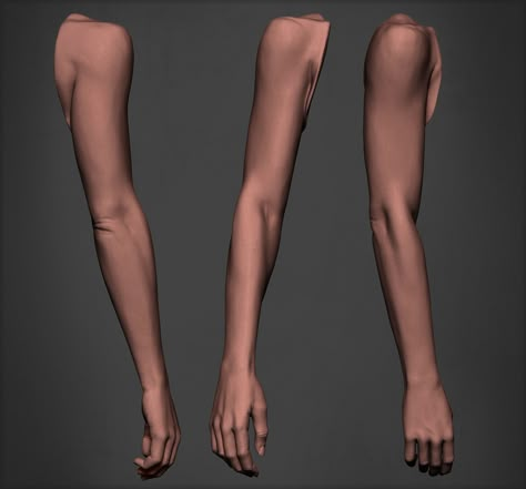 Arm Down Reference, Female Arms Anatomy, Arm Lifted Up Reference, Lifted Arm Reference, Women Arm Anatomy, Athletic Female Body Reference, Side Arm Reference, Arm References Female, Anatomy Reference Arms