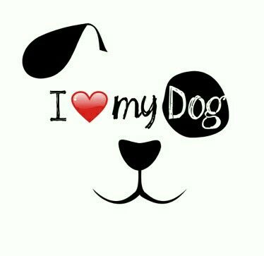 ♡☆ I Love My Dog ☆♡ I Love My Dog, Love My Dog, Border Terrier, Dog Rules, Shih Tzus, Dog Quotes, Pin Board, Mans Best Friend, My Dog