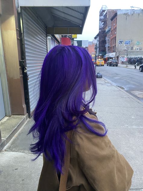 Dark Blue With Purple Hair, Dark Blue Violet Hair, Indigo Dyed Hair, Ultramarine Blue Hair, Blue Toned Purple Hair, Dark Electric Blue Hair, Purple And Rainbow Hair, Purple And Red Hair Ideas, Purple Hair Aesthetic Faceless