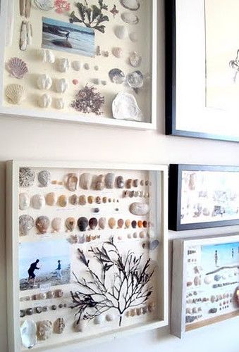 Shell Display, Vacation Memories, Seashell Art, Beach Crafts, Seashell Crafts, Craft Rooms, Shell Art, Nature Crafts, Shell Crafts