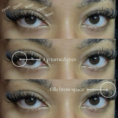 Lash Mapping For Big Eyes, Round Eye Lash Extensions Map, Babydoll Lash Map, Round Eye Lash Map, Doe Eye Lash Map, Almond Eye Lash Map, Lash Map Doll Eye, Lashes For Almond Eyes, Cat Eye Lash Map