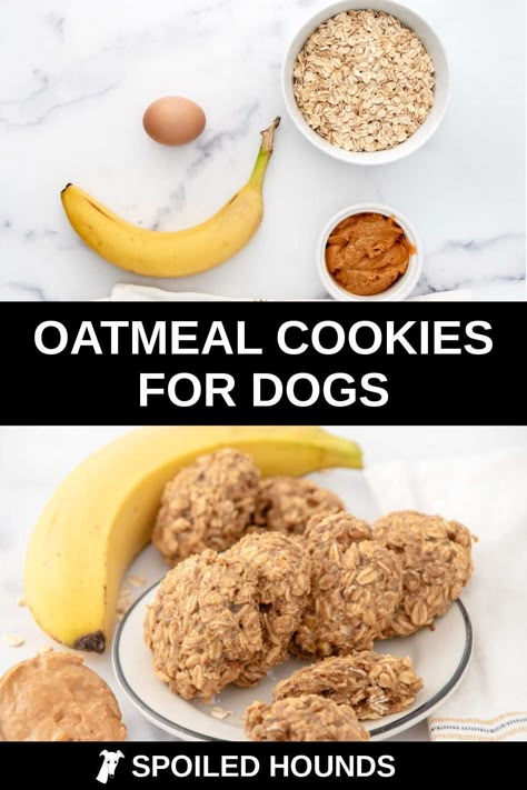 Diy Dog Cookies, Cookies For Dogs, Homemade Oatmeal Cookies, Baked Dog Treats, Cookies With Peanut Butter, Yummy Oatmeal, Dog Cookie Recipes, Homemade Dog Cookies, The Best Oatmeal