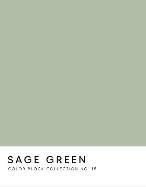 Green Wall Shades, Pistachio Green Paint, Pistachio Color Aesthetic, Pistachio Wall Color, Pale Green Color Palette, Sage Green Photography, Sage Green Pantone, Muted Green Aesthetic, Green Paint Swatches