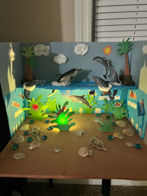 Dolphin Science Project, Dolphin Habitat Project For Kids, Dolphin Habitat Diorama, Jellyfish Diorama, Habitat Diaroma, Ocean Habitat Project For Kids, Dolphin Diorama, Habitat Diorama Ideas For Kids, Ocean Diorama Project