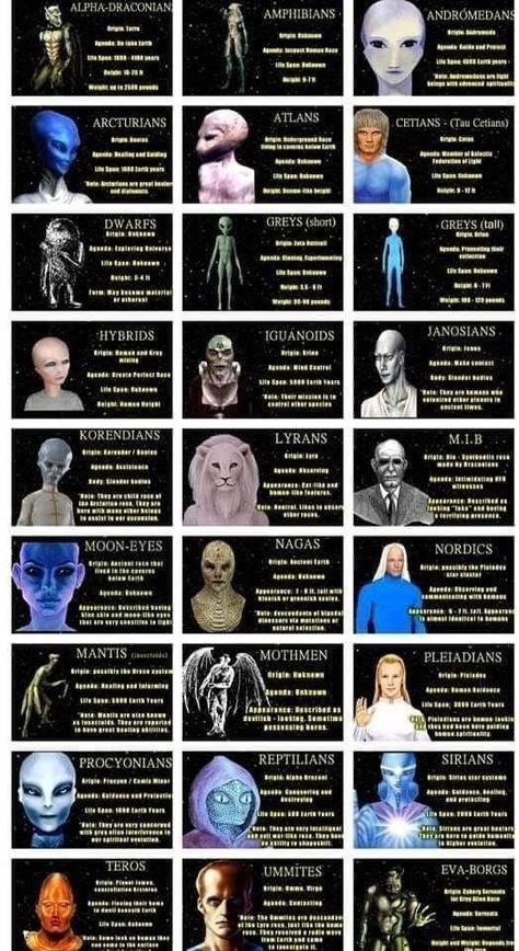 Different Alien Species, Reptilians People, The Greys Aliens, Sirian Starseed Traits, Reptilian Starseed, Pleiadians Aliens, Conspiration Theories, Starseed Types, Reptilian Alien