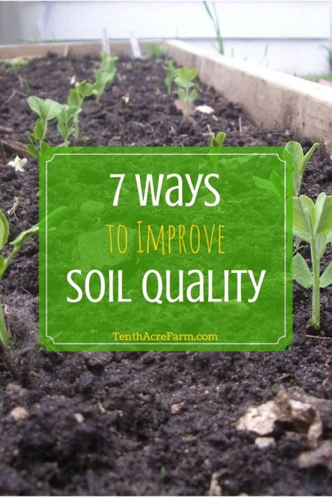 7 Ways to Improve #Soil Quality... Good soil is essential for an abundant garden and reducing the incidence of pests. #gardening Garden Soil Preparation, Lasagna Gardening, Compost Soil, Improve Soil Quality, Garden Compost, Garden Shrubs, Organic Soil, Healthy Garden, Soil Improvement