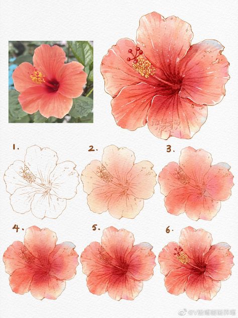 Watercolor Flowers Procreate, Hibiscus Quotes, Blue Green House, Color Projects, Makeup Pinterest, Magic Runes, Hawaii Sunset, Jeans Jewelry, Ear Tattoo Ideas