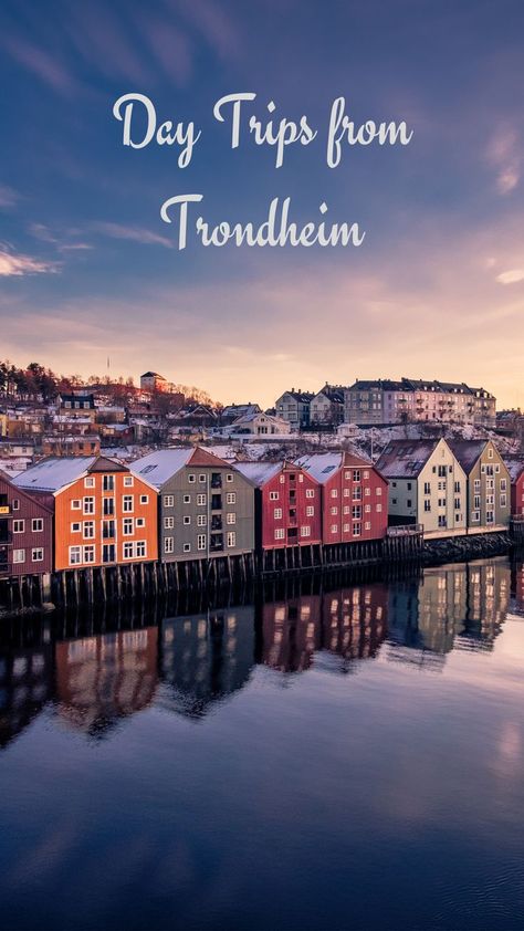 Trondheim Norway, Iceland Travel Guide, Start Running, Iceland Reykjavik, Norway Travel, Trondheim, Iceland Travel, Dream Holiday, European Travel