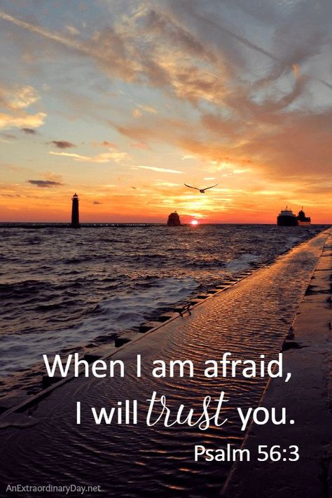 Psalms 51, Short Bible Quotes, Scripture Images, Faith Healing, Psalm 56, Fear Of The Dark, Overcome Fear, Powerful Bible Verses, Fear Of The Unknown