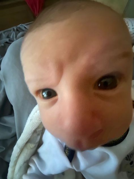 Weird Baby Pictures, Baby Refrences, Funny Kid Pictures, Baby Funny Pics, Funny Baby Pics, Funny Pictures Of Babies, Funny Kids Pictures, Cute Babys, Fat Babies