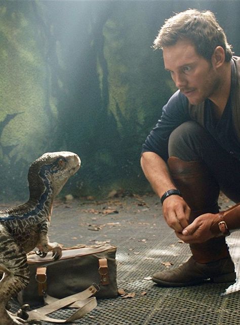 Jurassic World Chris Pratt, Jurassic World Wallpaper, Jurassic Movies, Blue Jurassic World, Jurassic World Movie, Jurassic Park Film, Owen Grady, New Jurassic World, Jurassic World 2