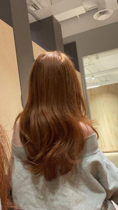 #aesthetic #hairstyle #ginger #curls #hairinspo Ginger Curls, Ginger Hair Girl, Dark Ginger Hair, Aesthetic Hairstyle, Ginger Hair Color, Caramel Hair, Hair Dye Colors, Hair Inspiration Color, Orange Hair