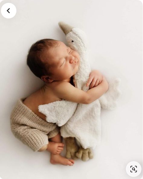 Newborn Photo With Stuffed Animal, Newborn Family Pictures, Foto Newborn, Newborn Photography Boy, Newborn Announcement, Baby Pictures Newborn, Newborn Family Photos, Newborn Baby Photoshoot, Baby Poses