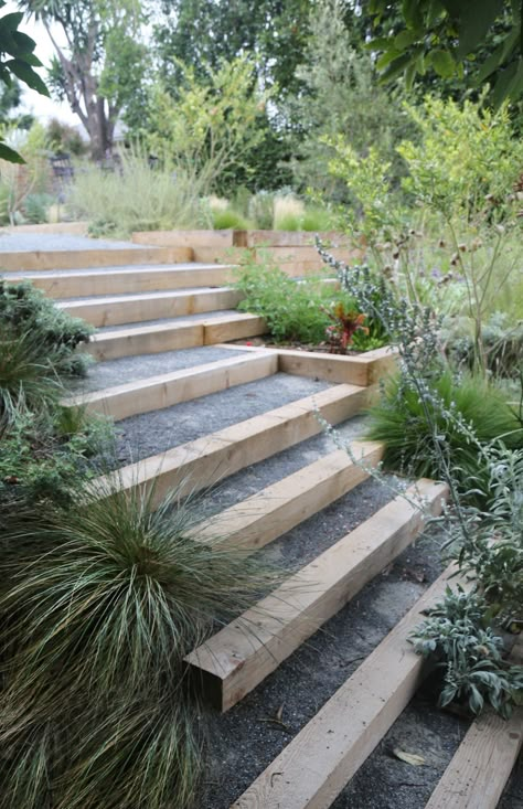 Outdoor Steps Landscaping, Steps In Garden Ideas, Outdoor Garden Steps Ideas, Garden On The Slope, Step Down Garden Ideas, Sloping Gardens Hillside Landscaping, Backyard Step Down Patio Ideas, Landscaping Around Stairs, Terraced Steps Landscaping