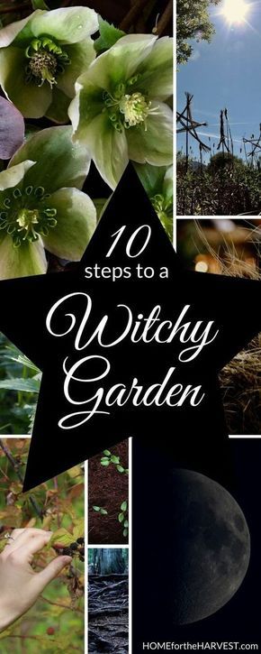 Rare Herbs To Grow, Goth Garden Design, Witch’s Garden, Witchy Garden Aesthetic, Small Secret Garden Ideas, Magical Backyard, Creepy Crafts, Witches Garden, Magical Plants