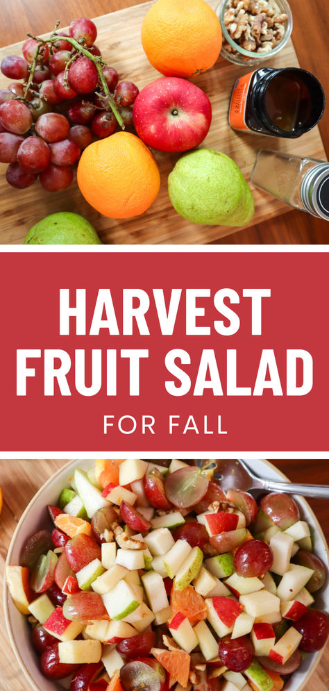 Harvest Fruit Salad for Fall Fruit Salad Fall, Salad For Fall, Fall Fruit Salad, Steampunk Decorations, Thanksgiving Fruit Salad, Easy Fruit Salad, Natural Nurturer, Salad Decoration, Thanksgiving Fruit