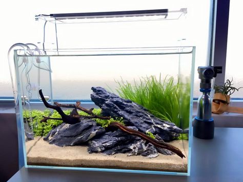 Simple Aquascape from Aqua Design Group http://www.aquariumdesigngroup.com/ https://www.facebook.com/adgonline/?fref=nf Simple Aquascape Ideas, Aquascape Design Simple, Simple Aquascape, Aqua Garden, Vivarium Ideas, Natural Aquarium, Aqua Scape, Aqua Scaping, Fish Aquarium Decorations