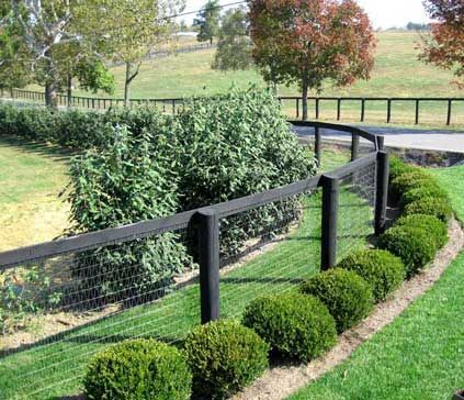 .: Fence Diy, Fence Options, Black Fence, Cheap Fence, Simple Garden, Garden Privacy, Diy Fence, Front Yard Fence, Building A Fence