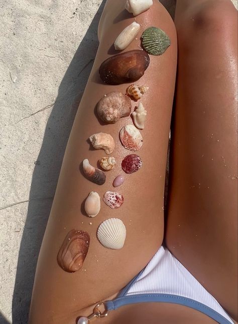 Lots of pretty multi coloured sea shells on legs on the beach Sea Shells Aesthetic, H2o Characters, Shells Aesthetics, Cali Photoshoot, Bella Hartley, Shells Collection, Shell Photo, Collecting Shells, Seashell Collection