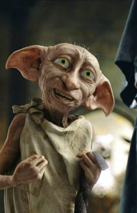 Dobby Harry, Dobby Harry Potter, Harry Potter Pictures, Potter Art, Harry Potter Wallpaper, Harry Potter Aesthetic, Harry Potter Art, Fantastic Beasts, Hermione