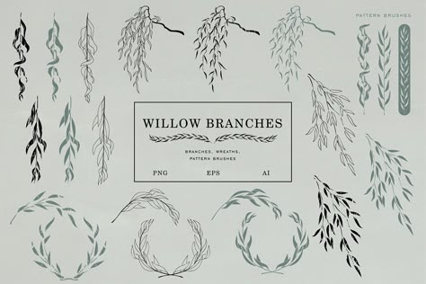 Willow branches on Behance Willow Branches, Botanical Elements, Graphic Design Illustration Adobe Illustrator, Vector Elements, Willow Pattern, Vintage Drawing, Illustration Adobe Illustrator, Branch Design, Spring Is Coming