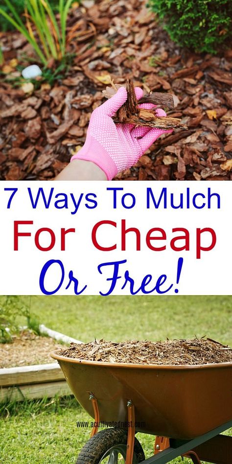 7 Ways To Mulch For Cheap Or Free Cheap Mulch Alternatives, Garden Mulch Ideas Yard Landscaping, Diy Mulch Landscaping, How To Mulch Landscaping, Best Mulch For Flower Beds, How To Mulch Around Trees, Best Mulch For Landscaping, Mulch Landscaping Ideas Backyard, Best Mulch For Vegetable Garden