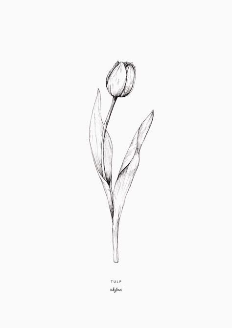 2 Tulip Tattoo, White Ink Tulip Tattoo, Tulip Flowers Tattoo, Tulip Forearm Tattoo, Tulip Tatoos Ideas, Tulip Back Tattoo, Spring Flower Tattoo, Spring Tattoo Ideas, Tulips Tattoo Design