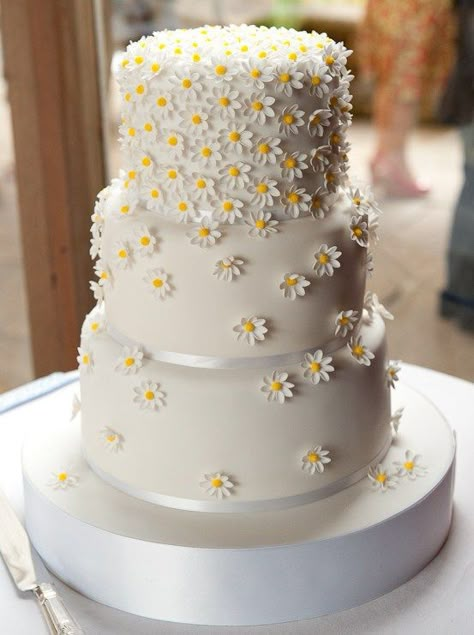 Daisy Wedding Theme, Daisy Wedding Cakes, Daisies Wedding, Birthday Cake Inspiration, Daisy Cakes, Country Wedding Cakes, Flowers Simple, Daisy Wedding, Wedding Cake Inspiration